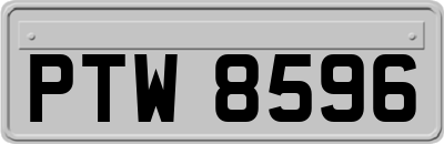 PTW8596