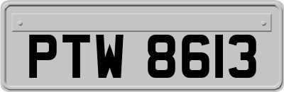 PTW8613