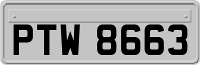 PTW8663