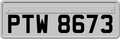 PTW8673