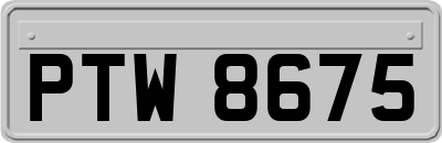 PTW8675