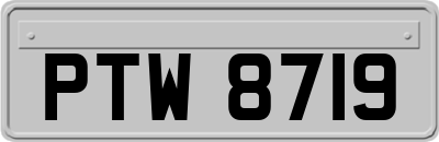 PTW8719