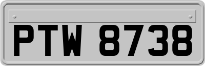 PTW8738