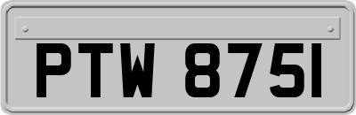 PTW8751