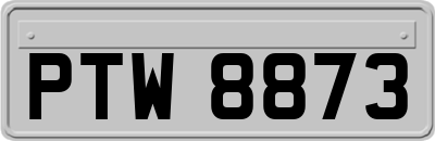 PTW8873