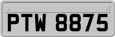 PTW8875