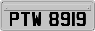 PTW8919