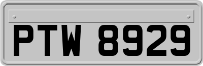 PTW8929