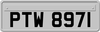 PTW8971