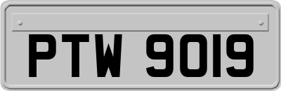 PTW9019