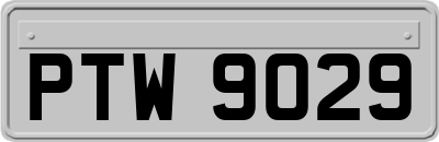 PTW9029