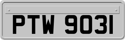 PTW9031