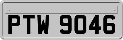 PTW9046