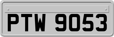 PTW9053