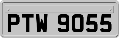 PTW9055