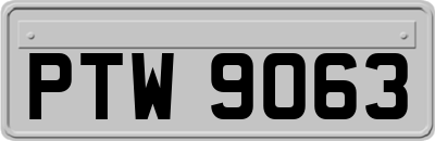 PTW9063