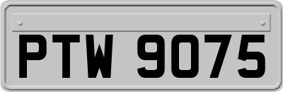 PTW9075