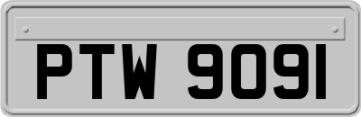 PTW9091