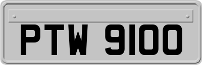 PTW9100