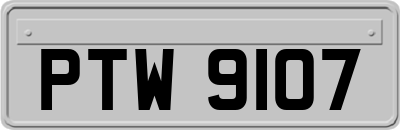 PTW9107