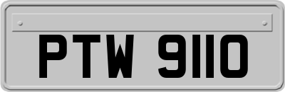 PTW9110