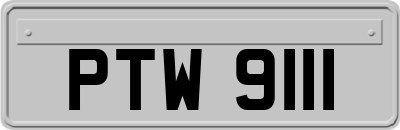 PTW9111