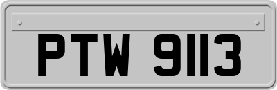 PTW9113