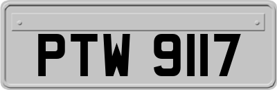 PTW9117