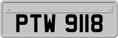 PTW9118