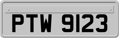 PTW9123