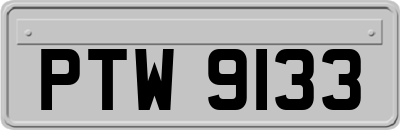 PTW9133