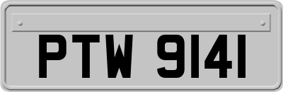 PTW9141