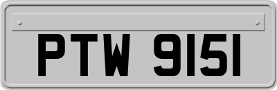 PTW9151