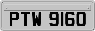 PTW9160