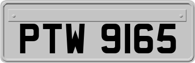 PTW9165