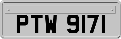 PTW9171