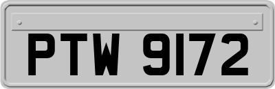 PTW9172