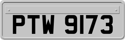 PTW9173