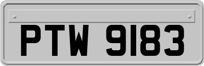 PTW9183