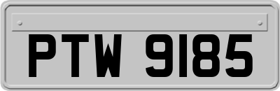 PTW9185