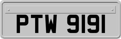 PTW9191