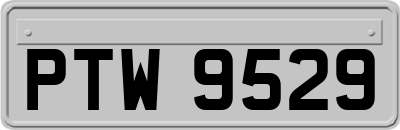 PTW9529