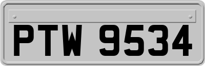 PTW9534