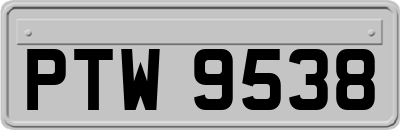 PTW9538