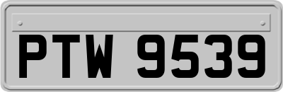 PTW9539