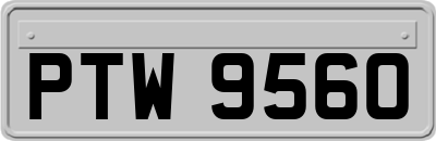 PTW9560