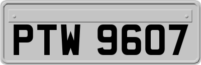 PTW9607