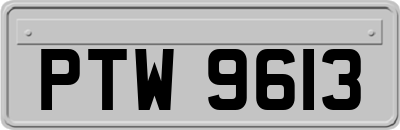 PTW9613