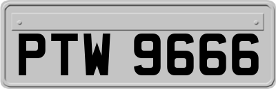 PTW9666