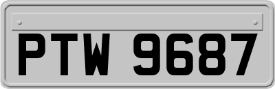 PTW9687